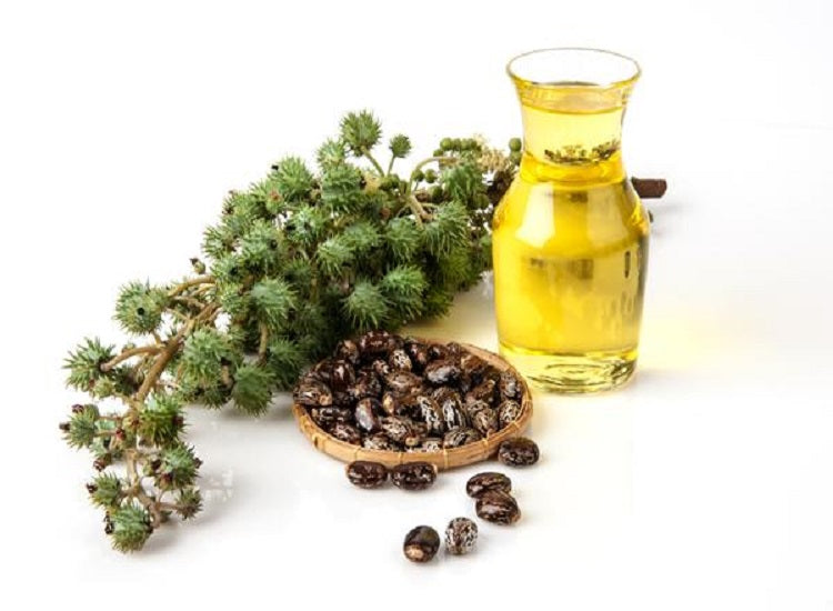 Magical Benefits of Castor Oil