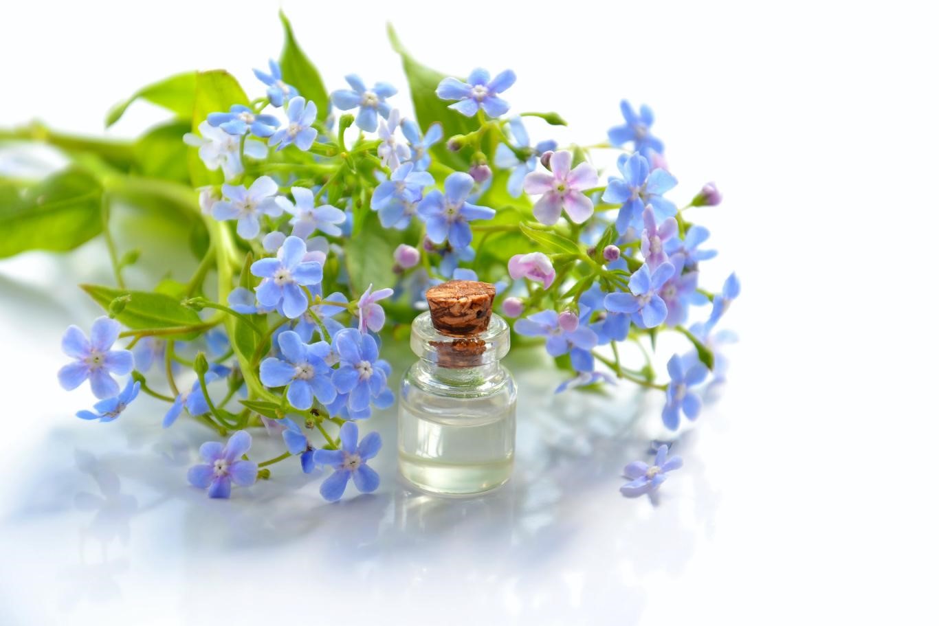 Aromatherapy: Do Essential Oils Really Work?